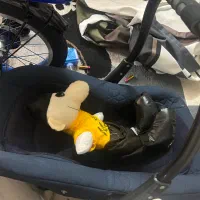 سالم|اسباب و اثاث بچه|مشهد, کوشش|دیوار