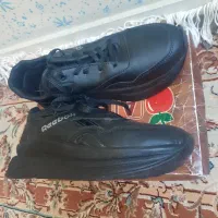 کتونی|کیف، کفش، کمربند|اراک, |دیوار