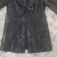 پالتو چرم|لباس|ملایر, |دیوار