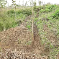 زمین-1000-متری-واقع-در-کولوش-طالشان