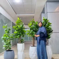 درختچه های مصنوعی لمسی و وارداتی