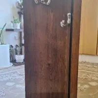 آینه ریلی|آینه|شیراز, دلجو|دیوار