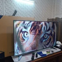 الیدی50ایکسویژن با گارانتی در حد آکبند دیجیتال دار