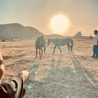 فروش زمین
