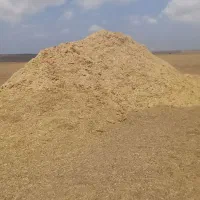 کاه گندم