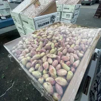 پسته ممتاز