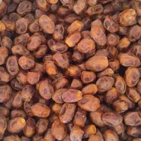 قصب تمیز