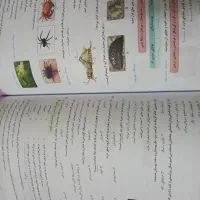 کتاب کمک درسی ماجرای بیست جامع نهم