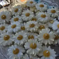 شمع گل بابونه