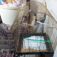 قفس باپایه بایه جفت مرغ عشق