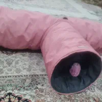 تونل گربه|گربه|مشهد, گلبرگ|دیوار