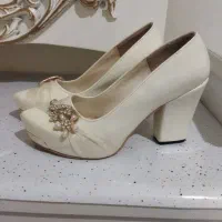 کفشمجلسی250تومان