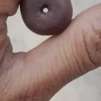 مهره هبهاب اصل