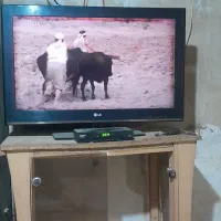 تلویزیون ۳۲ال جی