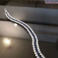 بدلیجات خاص