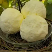 روغن و کره  گاو با بهترین کیفیت