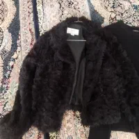 دوتا کت خز ولی نو اروپایی ۴۲تا۴۴