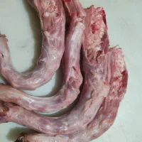 گوشت بوقلمون|خوردنی و آشامیدنی|شاهرود, |دیوار