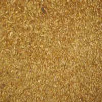 جوی درجه یک|لوازم جانبی حیوانات|دامغان, |دیوار