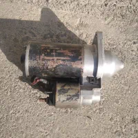 سهره . قناری|پرنده|خمینی‌شهر, |دیوار