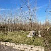زمین سند دار ۵۵۰۰ متر مجوز ساخت مسکونی