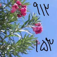 خط همراه اول