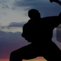 آموزش خصوصی دفاع شخصی ویژه بانوان