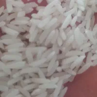 سلام 270کیلوبرنج طارم دم سیاه