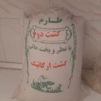 برنج ایرانی