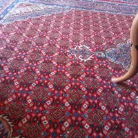 یک جفت فرش دست بافت
