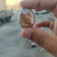 انگشتر شجر قائن تک درخت