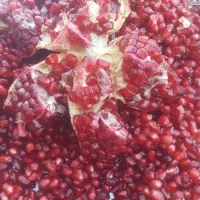 انار خندون|حراج|دهدشت, |دیوار