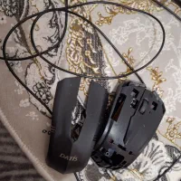 موس و کیبورد
