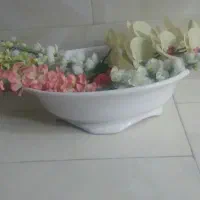 گل گلدون درخت زیبادر حدنو|گل و گیاه طبیعی|مشهد, ایثارگران|دیوار