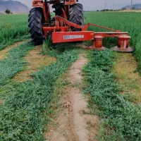 کاه تخم علف درجه یک بمی اصل