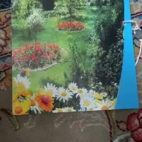 باغ-رضا-فاز-2
