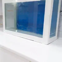 آکواریوم