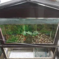 اکواریوم پایه دار