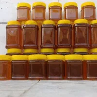 فروش مستقیم محصولات طبیعی (عسل باموم،عسل،ژل رویال)|خوردنی و آشامیدنی|داراب, |دیوار