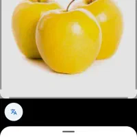 کارگر میوه چین زرنگ واستادکار