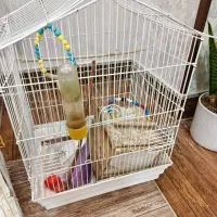 قفس|لوازم جانبی حیوانات|تهران, یافت آباد شمالی|دیوار