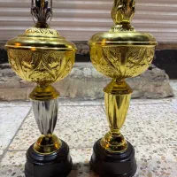 دوتا کاپ یا جام