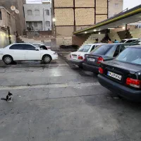 اجاره کارواش با وسایل مشکین دشت هدایتکار