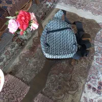 بادی بگ