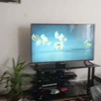 فروش حواله ماشین