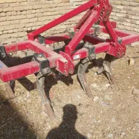 چیزل 7شاخه شیر مست