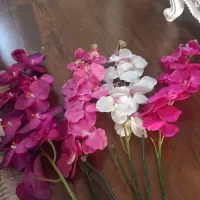 چهار عدد ارکیده خارجی به همراه دو عدد گل|گل مصنوعی|تهران, مشیریه|دیوار