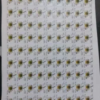 فروش تمبر پستی|کلکسیون سکه، تمبر، اسکناس|رباط‌کریم, شهرستانک|دیوار