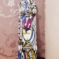 اسکیت برد حرفه ای