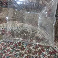 میوه خوری